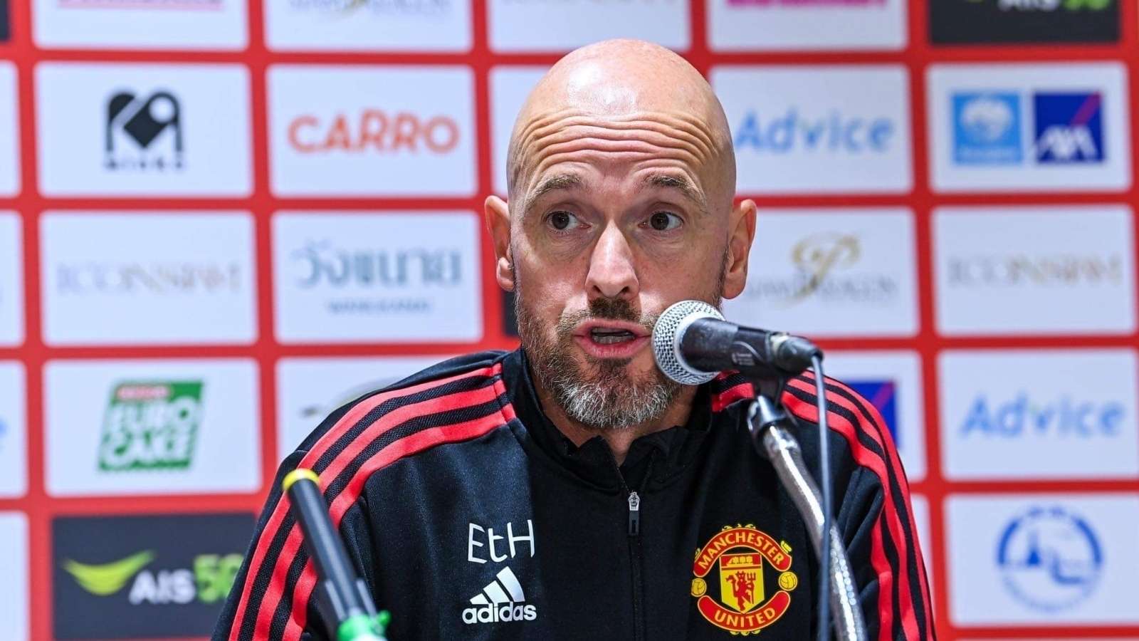 更强调了他 更强调了他