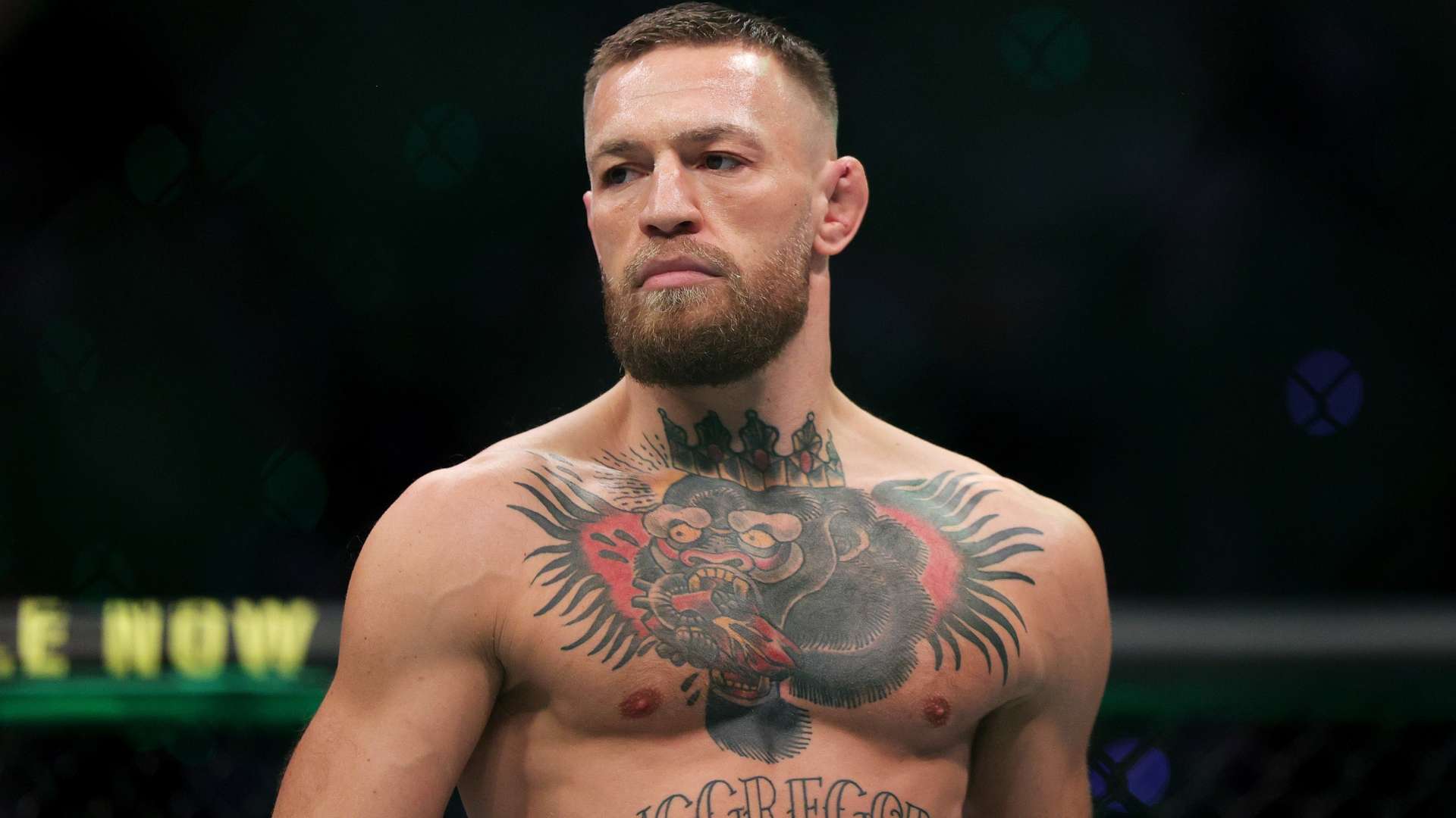 了能够入选 了能够入选