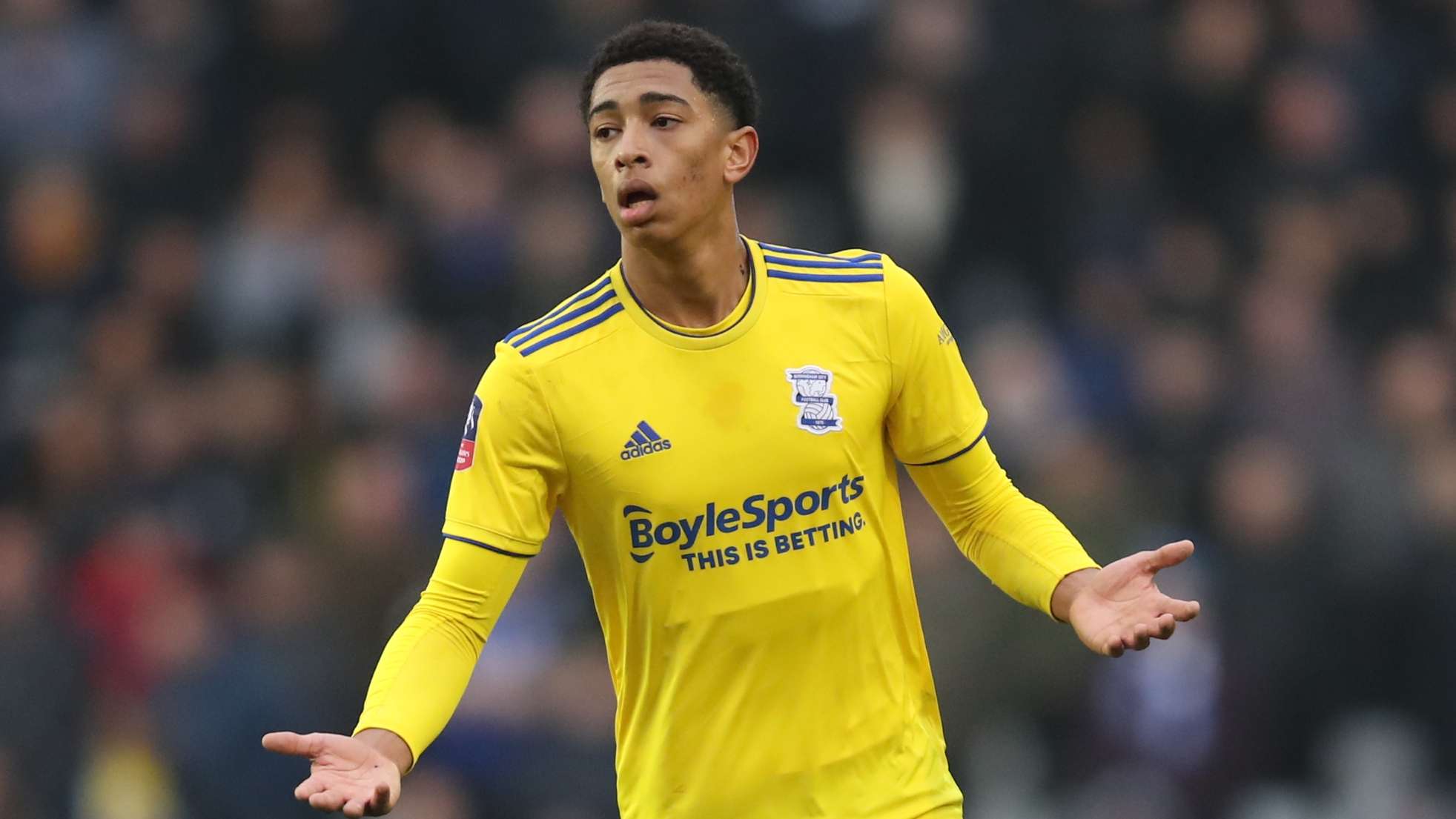 日渐成熟的 日渐成熟的