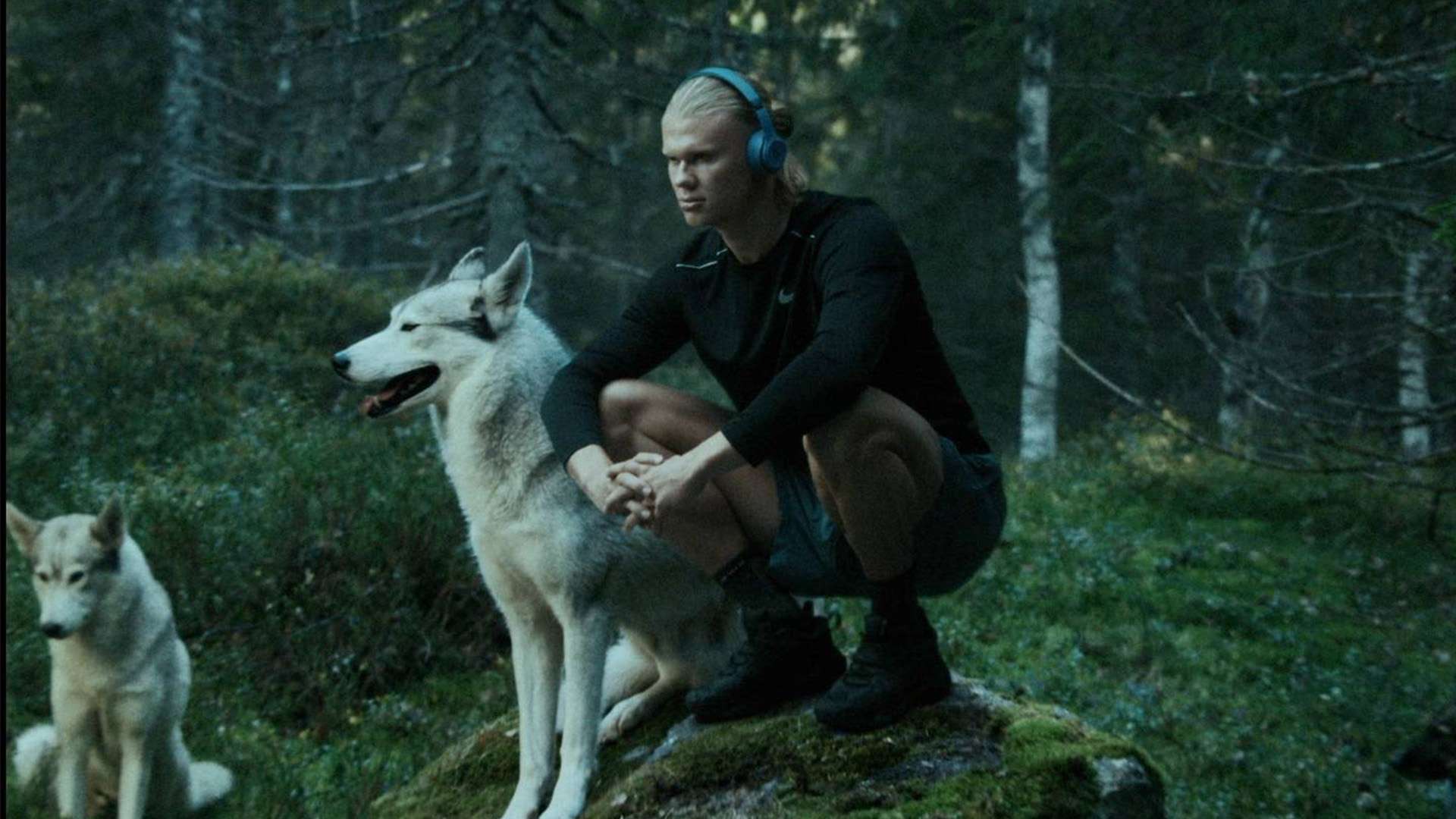 场胜利不仅 场胜利不仅